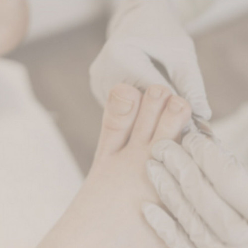 Le Chirurgien Orthopédique
